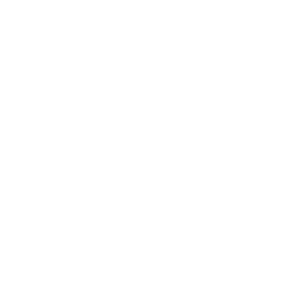Reinigungsdienste icon