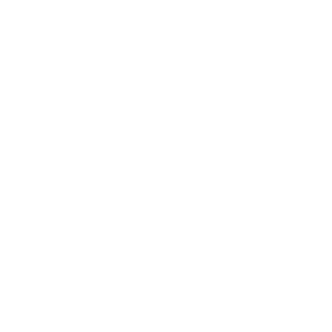 gebäudereinigung icon